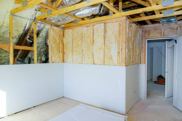 Best Insulation Replacement Services  in Vinton, TX