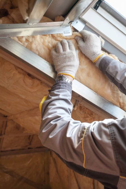 Best Local Insulation Services  in Vinton, TX