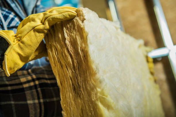 Best Insulation Inspection Services  in Vinton, TX
