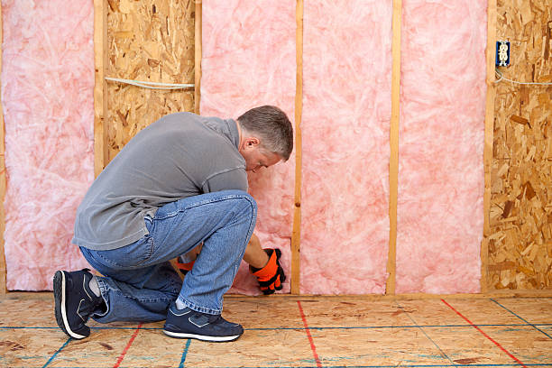 Insulation Replacement Services in Vinton, TX